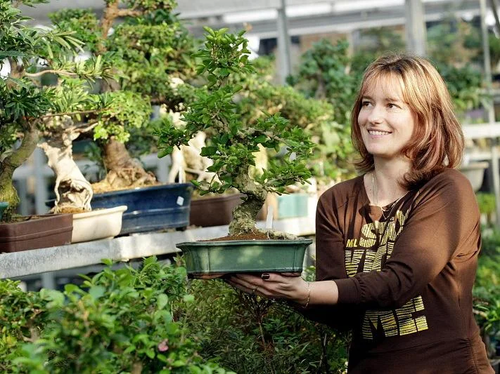 Žena drží malý zelený bonsaj v skleníku plném rostlin.