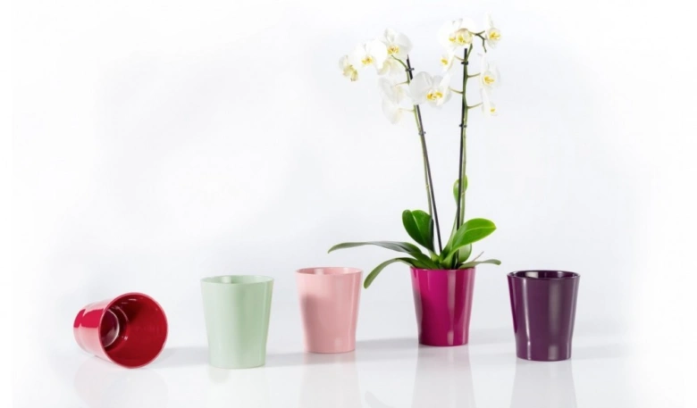 Orchidej v květináči vedle barevných plastových šálků na bílém pozadí.
