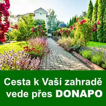 Kamenná cesta v zahradě s kvetoucími rostlinami