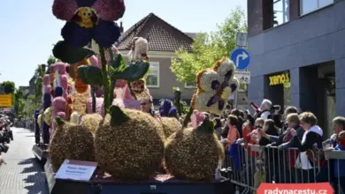 Květinový průvod v Holandsku s velkým květinovým vozem.