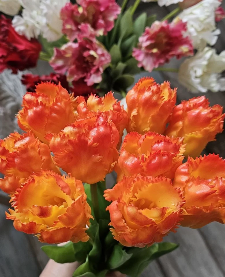 Oranžové tulipány s okvětními lístky vlnitého tvaru.
