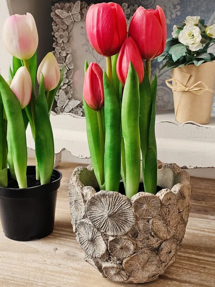 Různé druhy tulipánů s okvětními lístky v květináčích na dřevěné ploše.