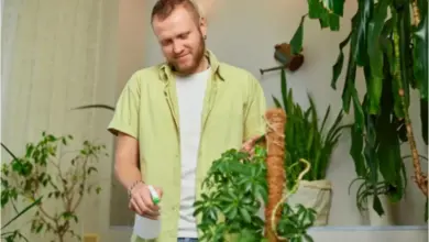Muž zavlažuje rostliny v interiéru.