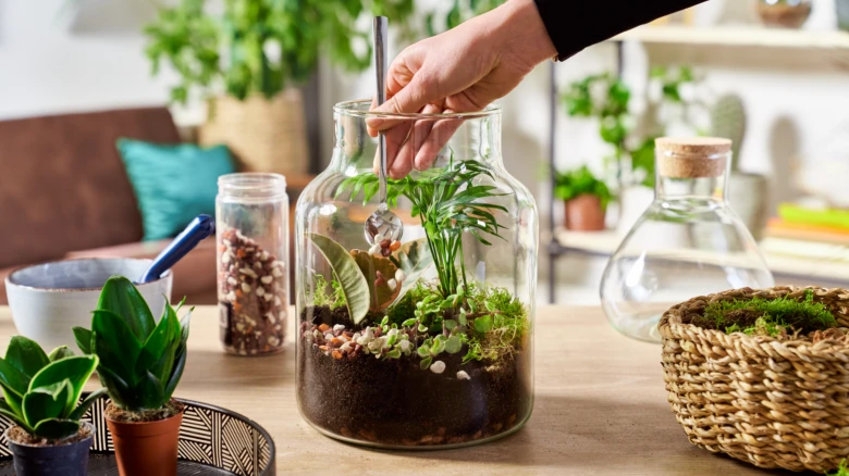 Ruce sestavují florářum v skleněné nádobě s rostlinami.