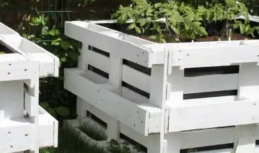 Raised garden beds with plants