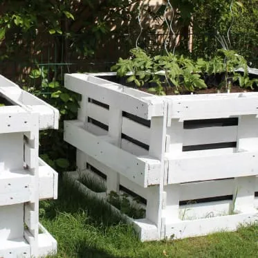 Raised garden beds with plants