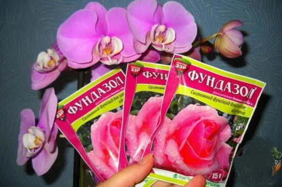 Ruce drží balíčky Fundazolu před fialovými orchidejemi.