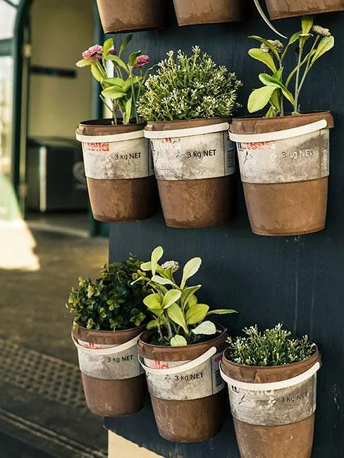 Potted plants on wall