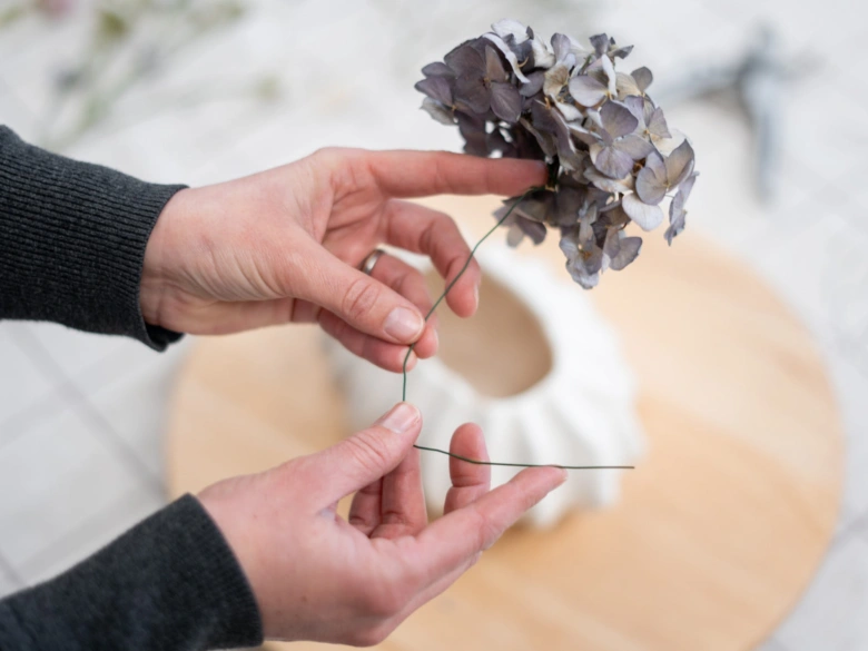 Dried hydrangea with wire stem