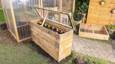 Dřevěný chladniční skleník s mladými sazenicemi na zahradě.