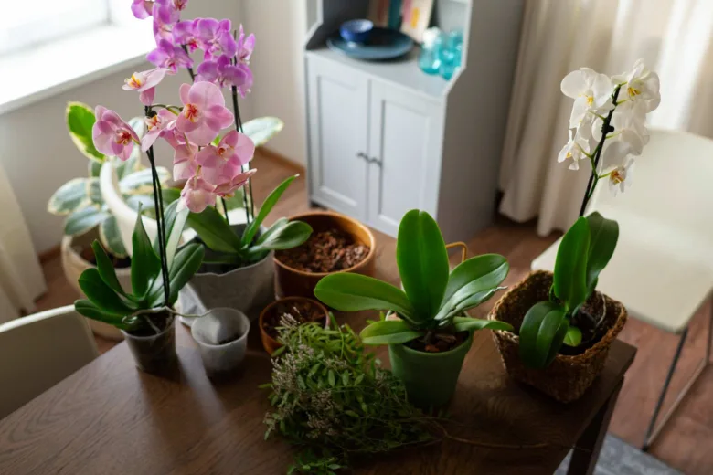 Květinová aranžmá s orchidejemi na dřevěném stole.