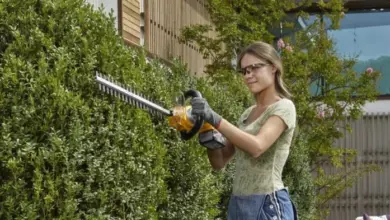 Žena prořezává živý plot elektrickým nůžkami v zahradě.