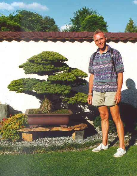 Muž stojí v zahradě vedle japonské borovice pěstované jako bonsaj.