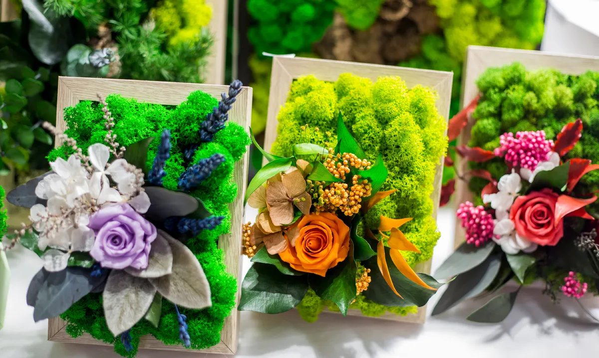 Rostliny v rámech po stabilizaci glycerinem pro dlouhou trvanlivost.