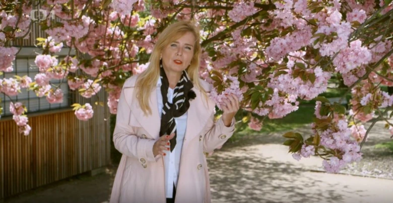 Žena stojí pod kvetoucími sakurami na slunečním dni.