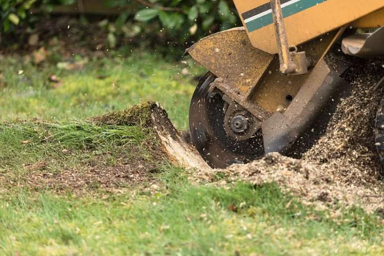 Žlutý bagr řezá kořen stromu při výkopových pracích.