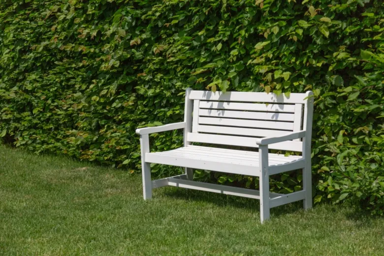 Bílá zahradní lavička před živým plotem jako náhrada tuje.