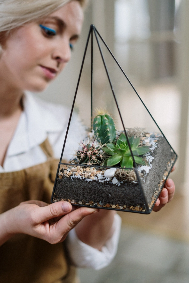 Žena drží florárium s kaktusy a sukulenty v geometrickém skleněném nádobí.