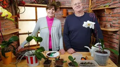 Muž a žena stojí za stolem s malými orchidejemi v nádobách.