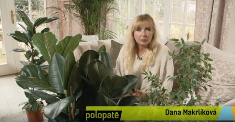 Žena sedí mezi rostlinami v interiéru.
