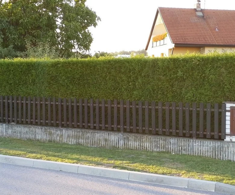 Vysoká zelená živý plot za dřevěným plotem u silnice.