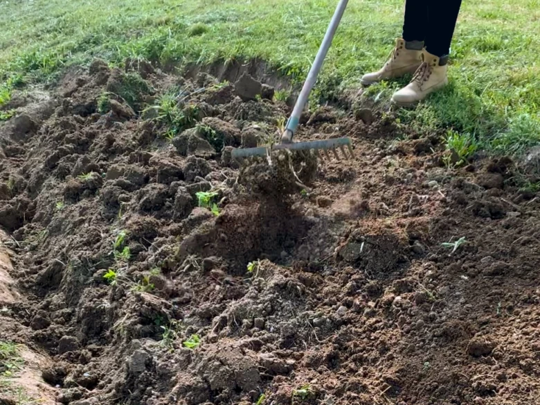 Osoba se kypří půdu zahradním nástrojem pro pěstování trvalek.