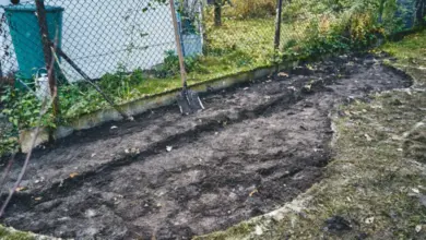 Připravený záhon s lopatou pro výsadbu rostlin.