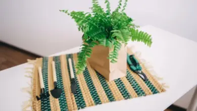 Kapradina v papírovém sáčku s zahradnickými nástroji na stole.
