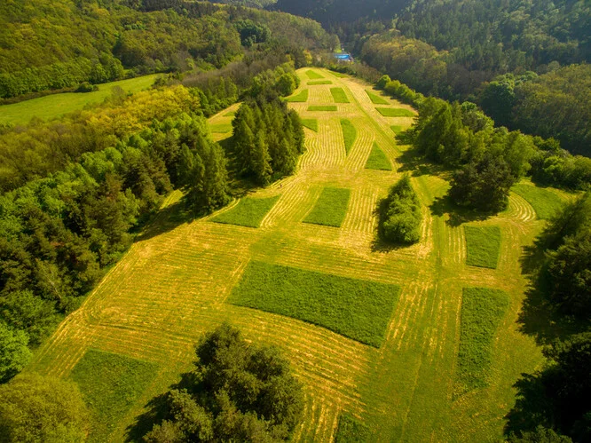 Vzdušný pohled na geometricky sekanou louku v lesním údolí.