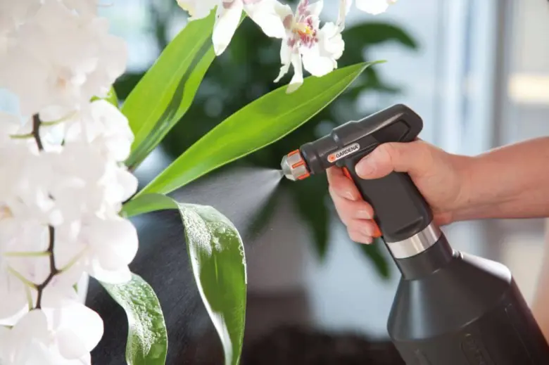 Ruka stříká bílé orchideje z postřikovače pro péči o listy.