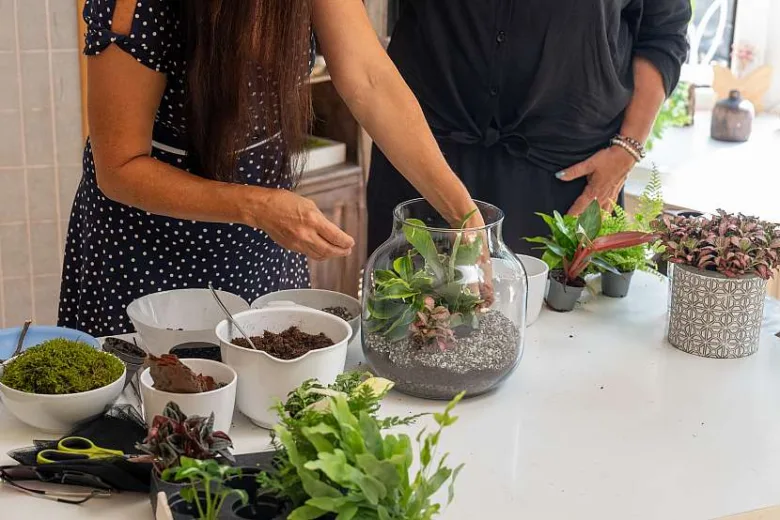 Žena tvoří florárium v skleněné lahvi s rostlinami a půdou