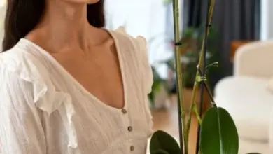 Žena drží v květináči bílou orchidej u okna.