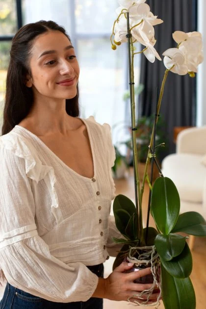 Žena drží v květináči bílou orchidej u okna.