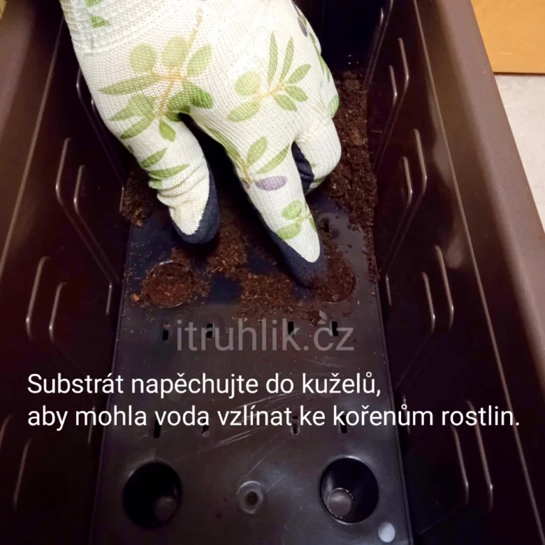 Ruka zaplňuje drenážní otvory v květináči zeminou.