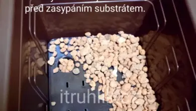 Malé keramzitové kuličky jako drenážní vrstva v květináči.