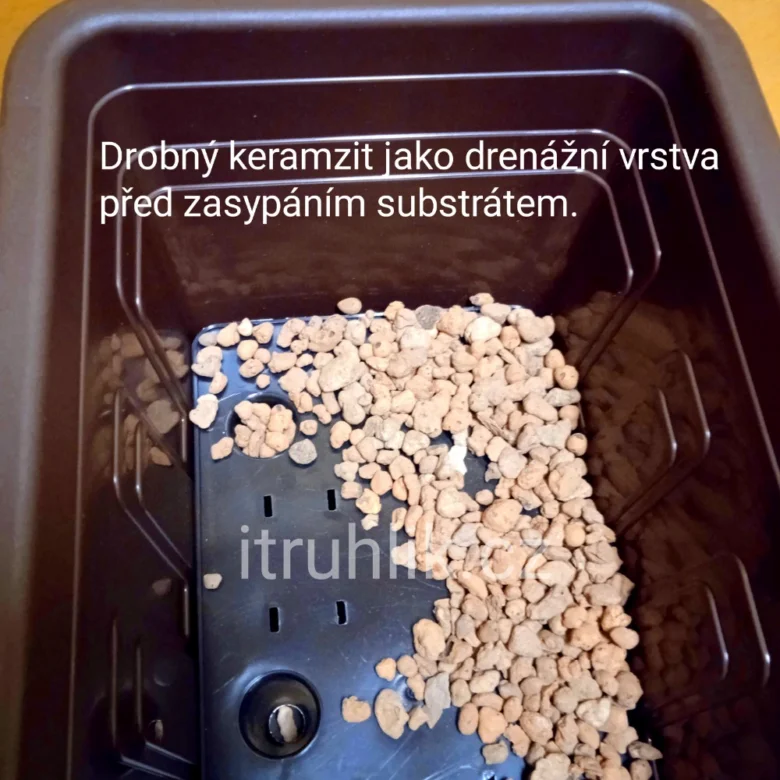 Malé keramzitové kuličky jako drenážní vrstva v květináči.