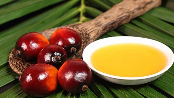 Palm oil fruits and oil